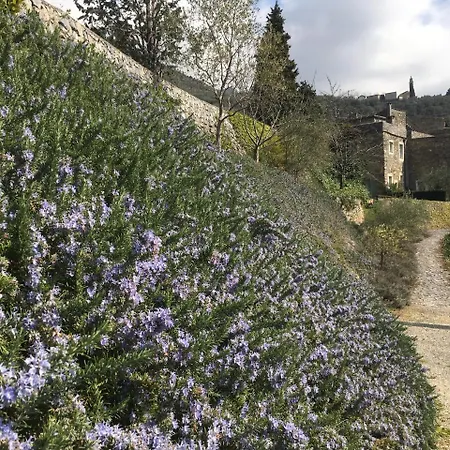 Lejlighed Castello *